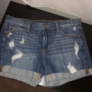JEAN SHORTS ARTICLES OF SOCIETY